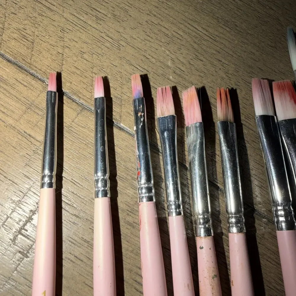 Somime Professional Watercolor Paint Brush Set 12 Pcs Round Flat Pink Well Loved